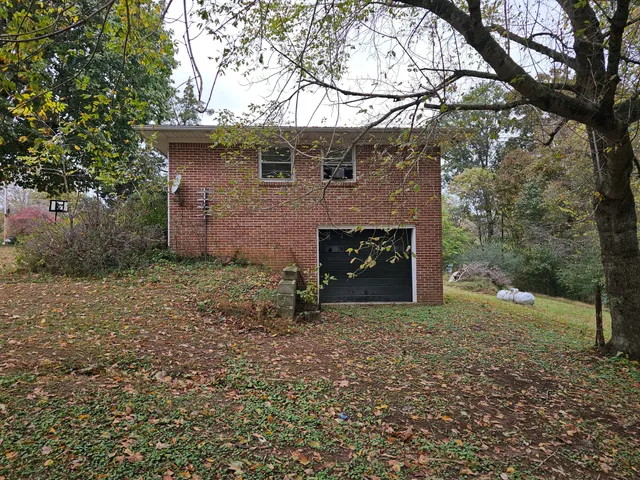 a view of a yard with a tree