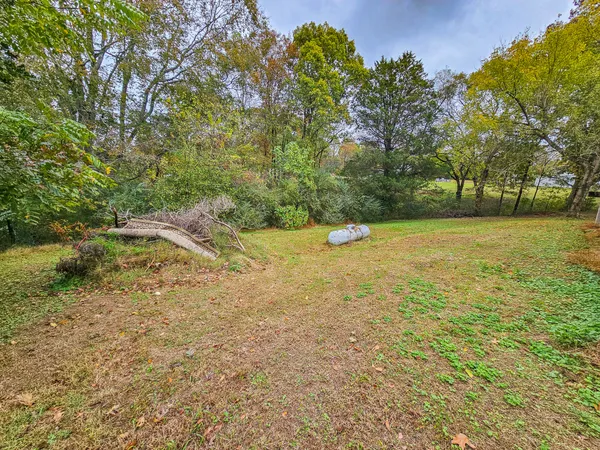 a view of a field with an trees