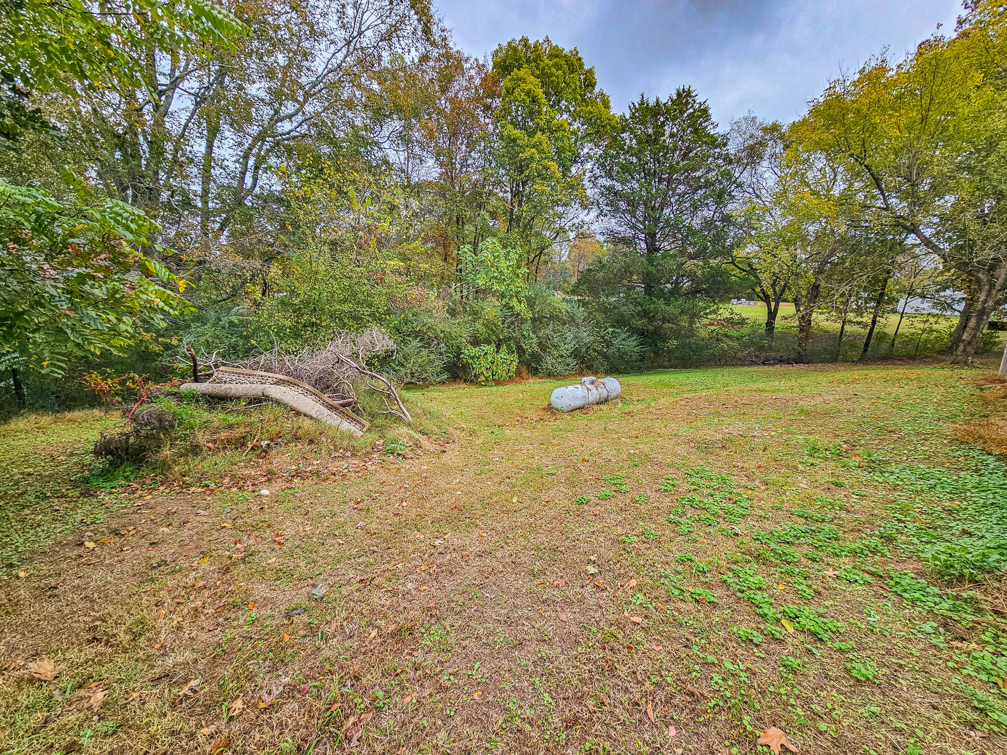 495 Salem Road Minor Hill, TN 38473 - Photo 3 of 30 a view of a field with an trees
