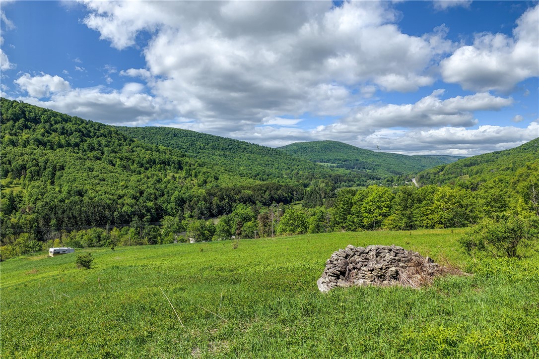 26 Federal Hill Road Delhi, NY 13753 - Photo 44 of 50