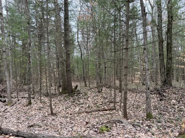 $69,900 | North Cherry Lane, Free Soil, MI 49411