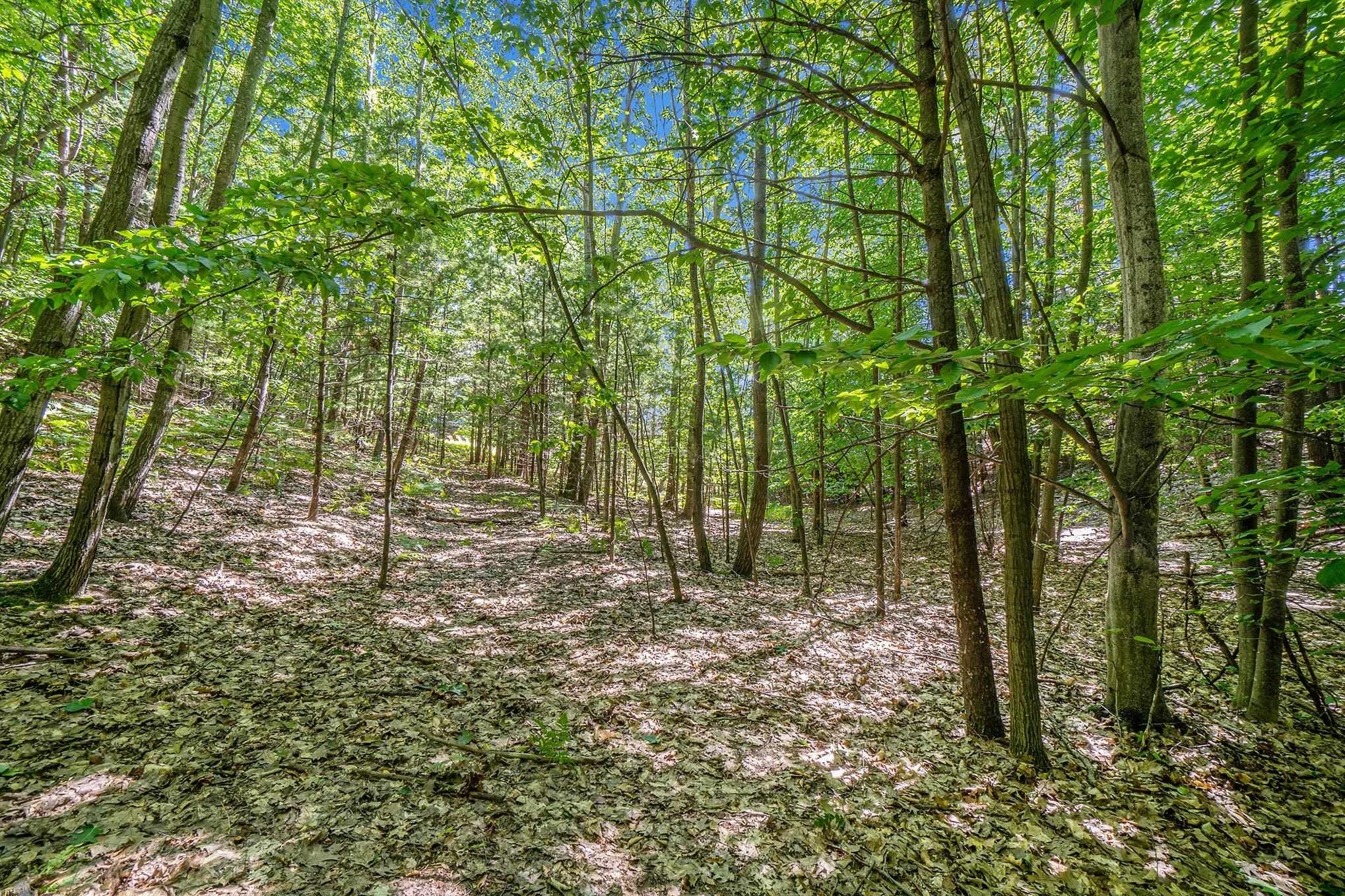 555 Hidden Ridge Drive Traverse City, MI 49686 - Photo 27 of 28