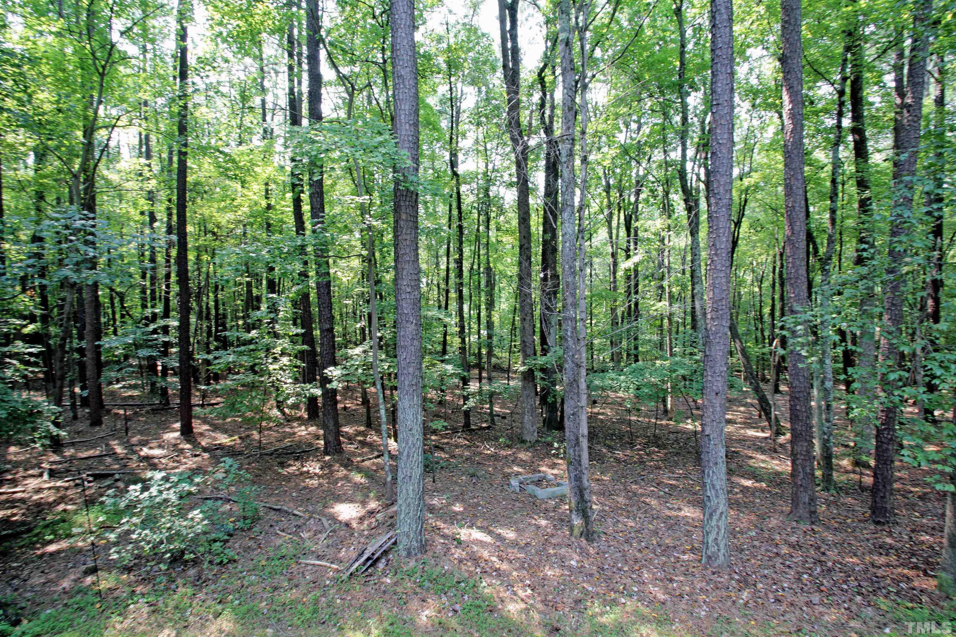 11817 Mountbatten Way Raleigh, NC 27613 - Photo 26 of 28 a view of outdoor space and trees