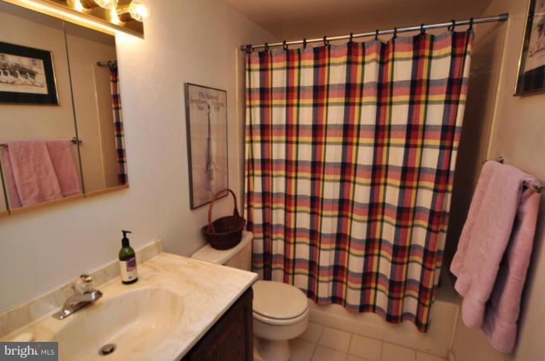 11604 Deer Forest Road Reston, VA 20194 - Photo 19 of 22 Lower Level Bathroom