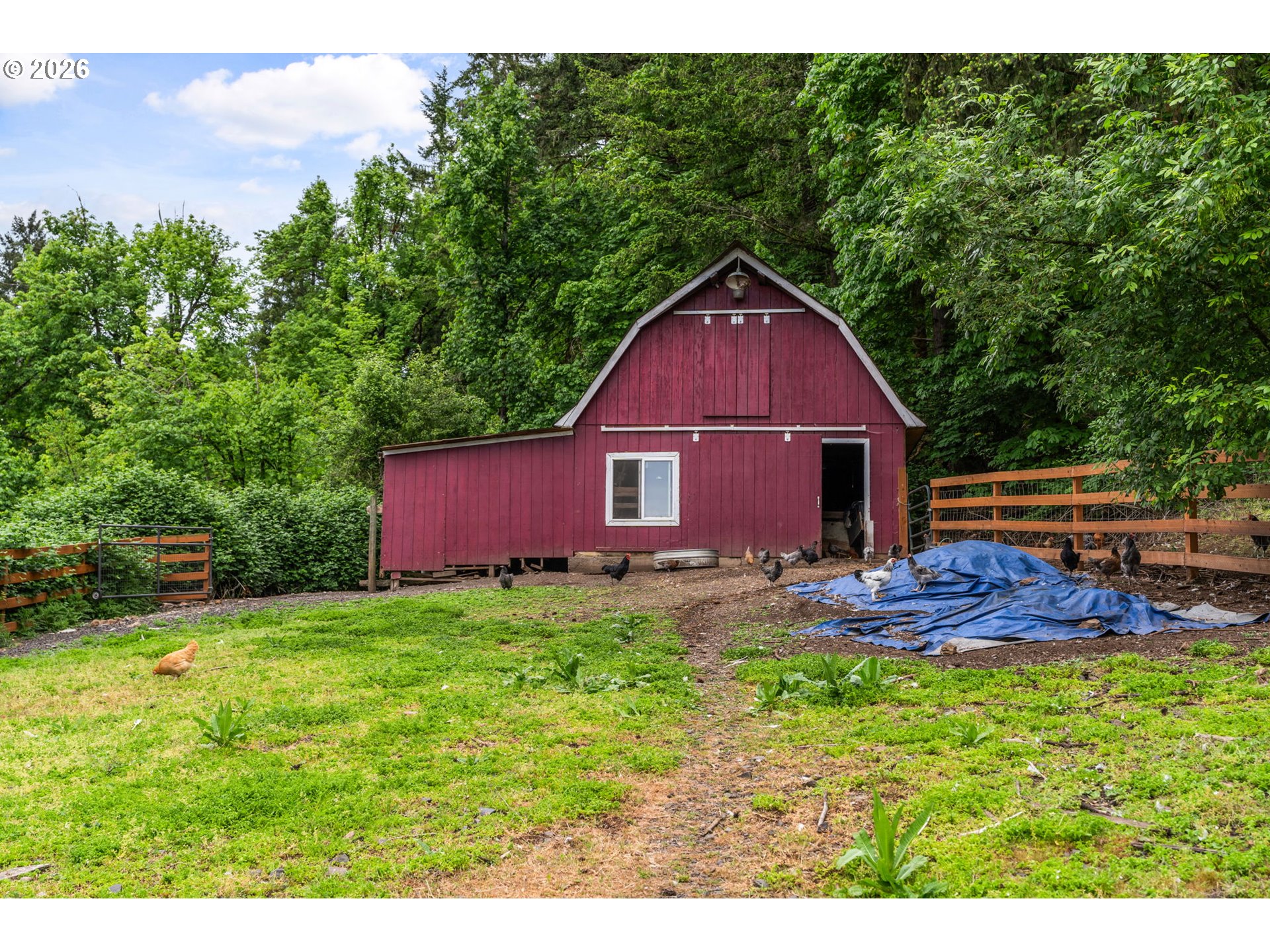 89093 Marcola Road Springfield, OR 97478 - Photo 25 of 25 a view of a yard with a house