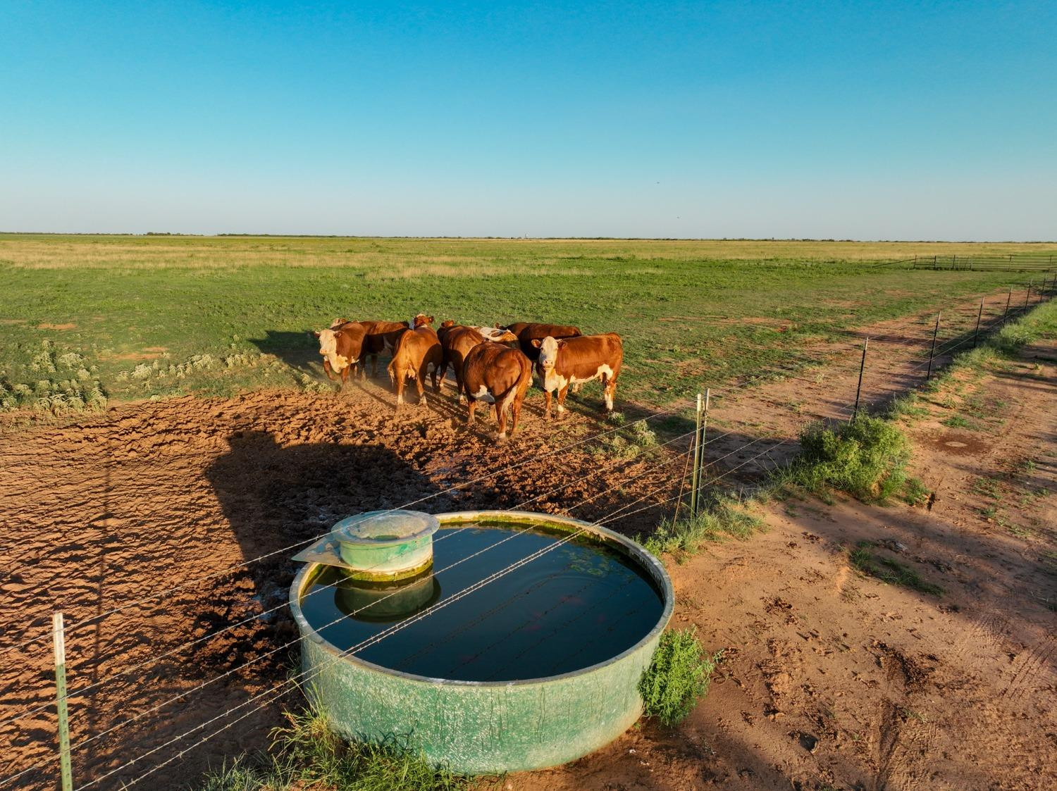 0 County Road 183 Post, TX 79356 - Photo 14 of 15 Photo 14