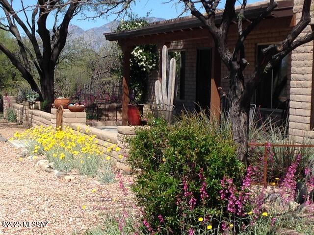 675 North Freeman Road Tucson, AZ 85748 - Photo 3 of 32 Spring colors