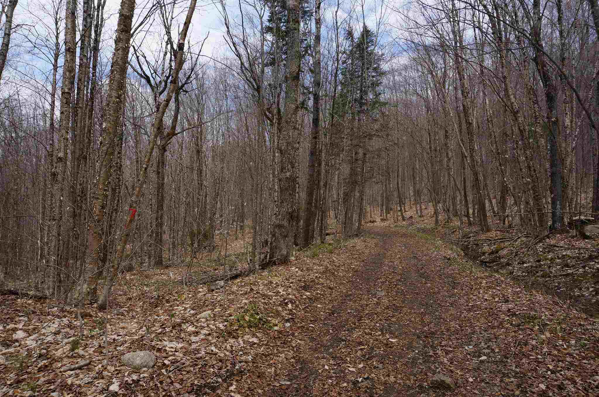 0 Victory Road, Unit A East Burke, VT 05832 - Photo 3 of 5