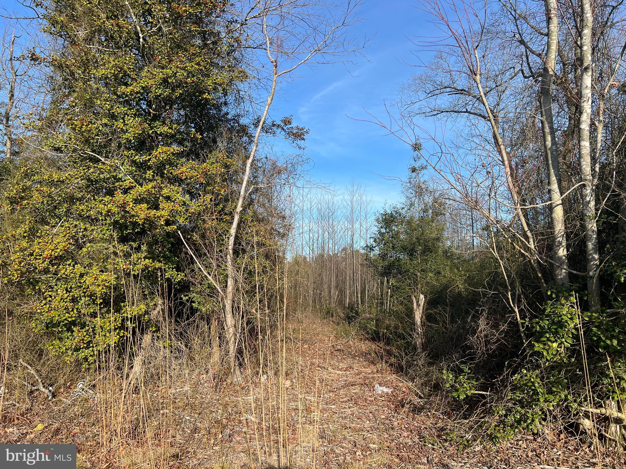 6 West Shortly Road Georgetown, DE 19947 - Photo 1 of 2 Build Dream Home Here!
