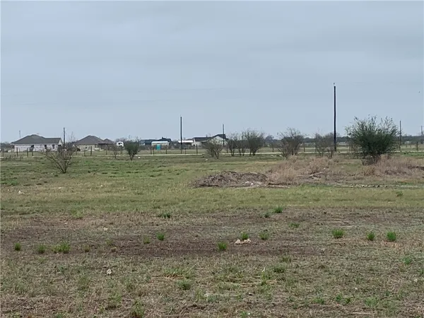 a view of a field with trees in background