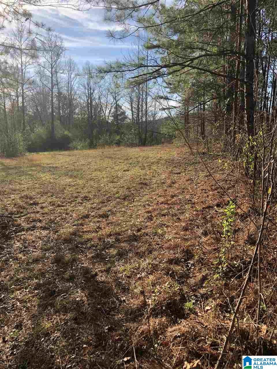 1000 Mulberry Hills Road Hayden, AL 35079 - Photo 5 of 12