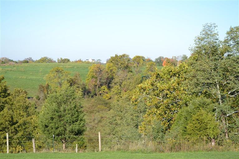 1960 Barnes Road Williamstown, KY 41097 - Photo 23 of 28