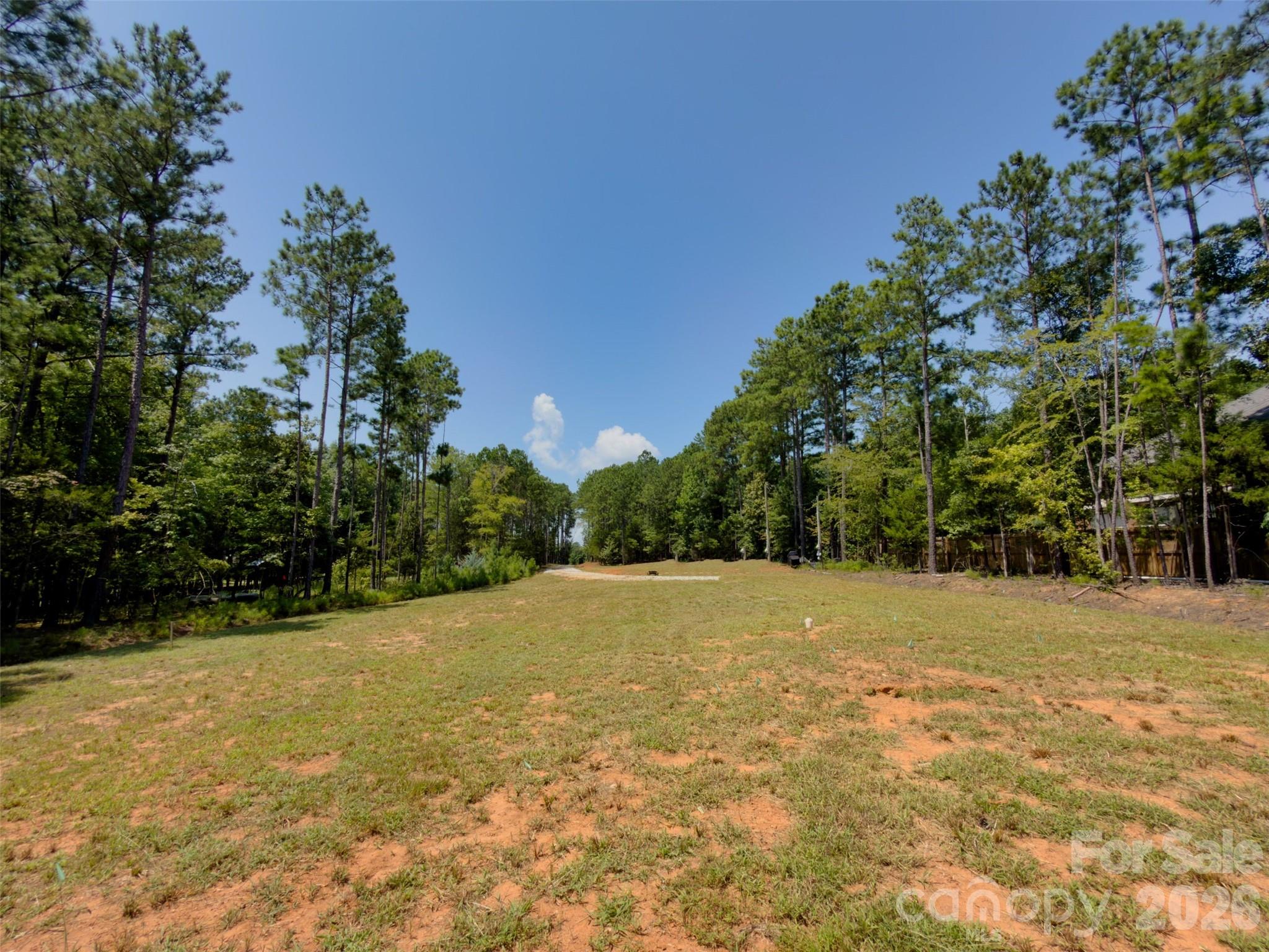 955 Cole Trestle Road Blair, SC 29015 - Photo 11 of 30 Gallery Image 11