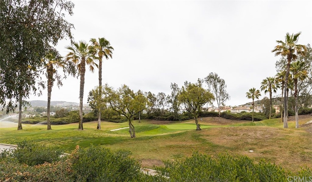 517 Via El Risco San Clemente, CA 92673 - Photo 41 of 51 a view of a park