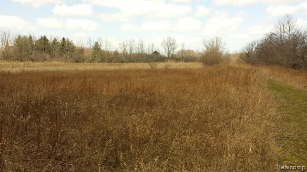 V/l Townsend Road Croswell, MI 48422 - Photo 8 of 10