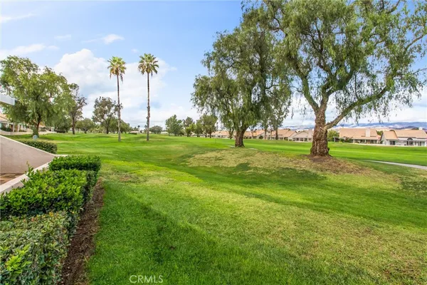 a view of a big yard with a palm trees