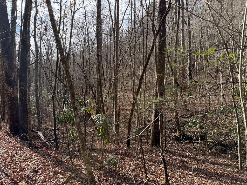 135.49-ac Webb Creek Road Andrews, NC 28901 - Photo 17 of 34
