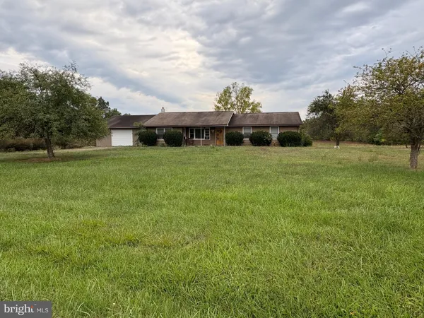 a view of a field of grass and trees