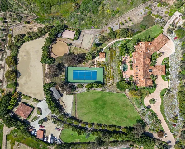 a aerial view of a house with a yard and potted plants