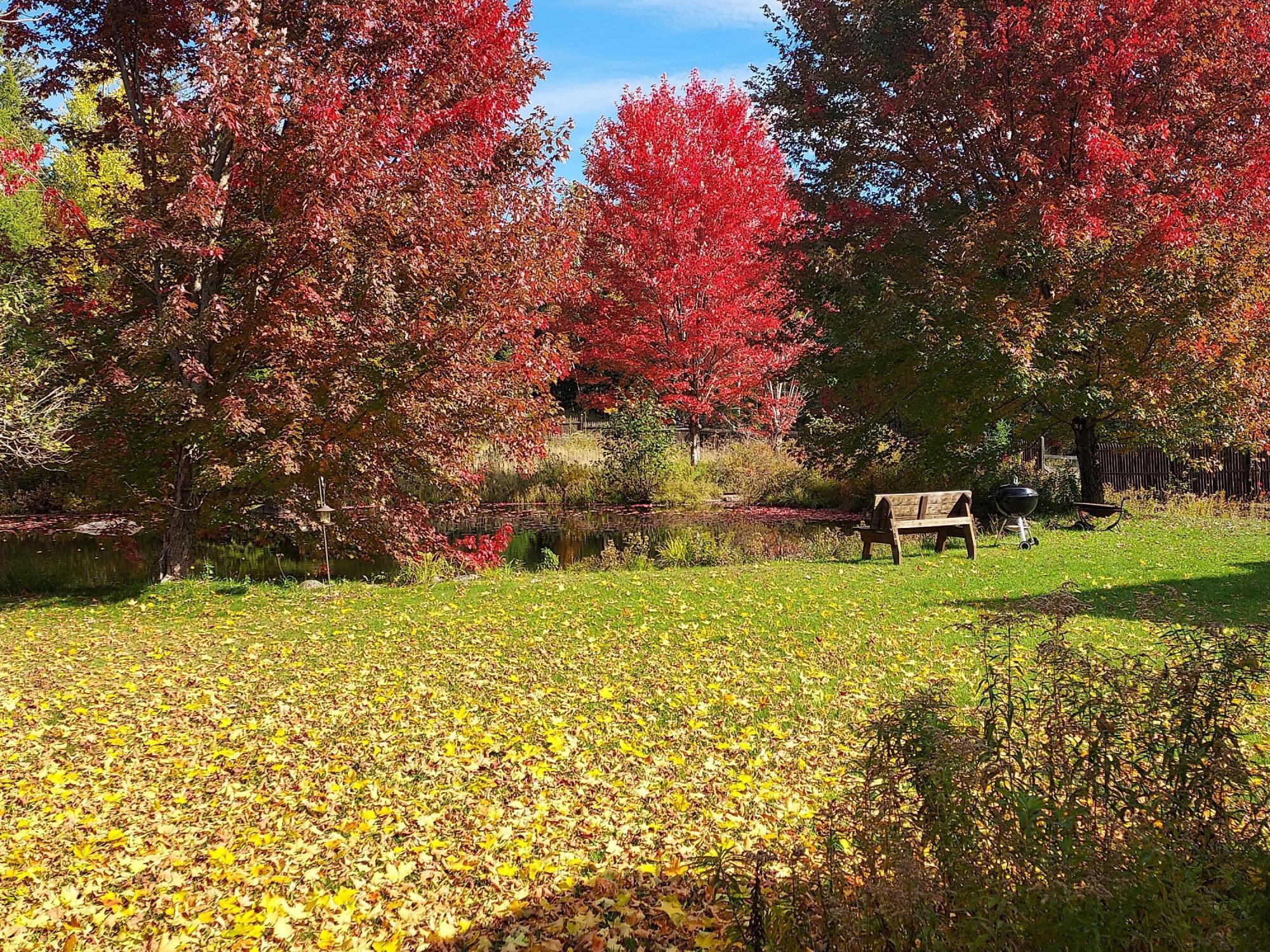 4862 Cascade Road Lake Placid, NY 12946 - Photo 17 of 24 Fall Pic3