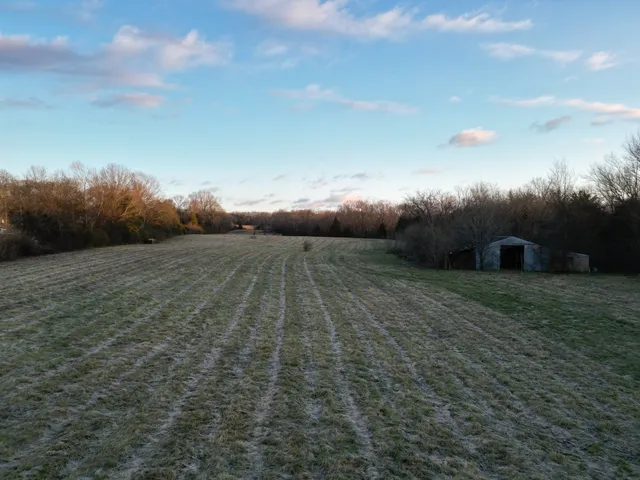 a view of a yard with an empty space