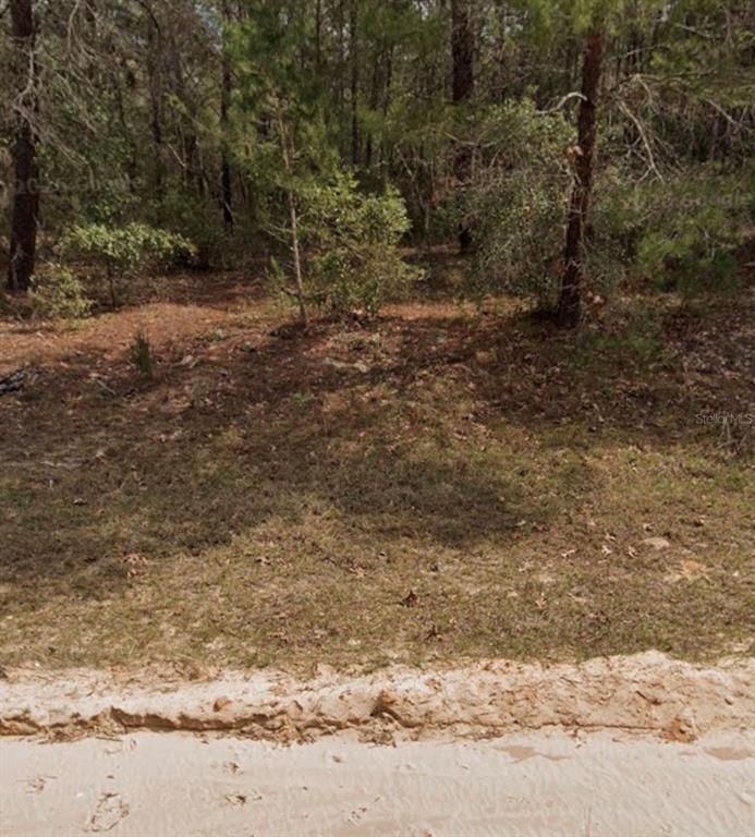 Michael Avenue Interlachen, FL 32148 - Photo 3 of 6
