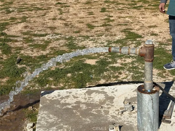 a view of a yard with wooden fence