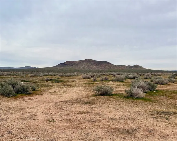 $65,000 | 39025 Hervey Road, Hinkley, CA 92347
