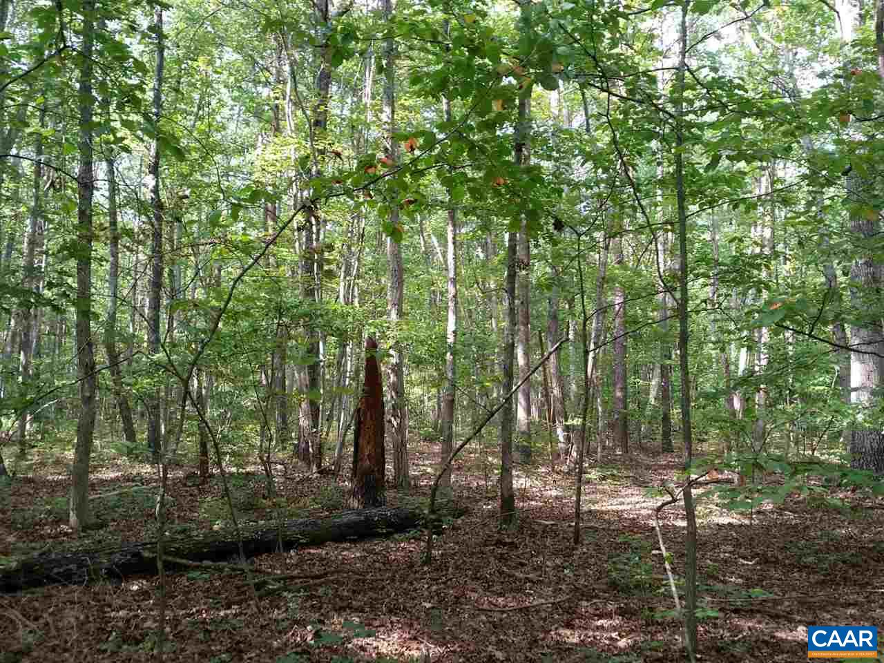 1107 Axtell Road Scottsville, VA 24562 - Photo 2 of 7 Gallery Image 2