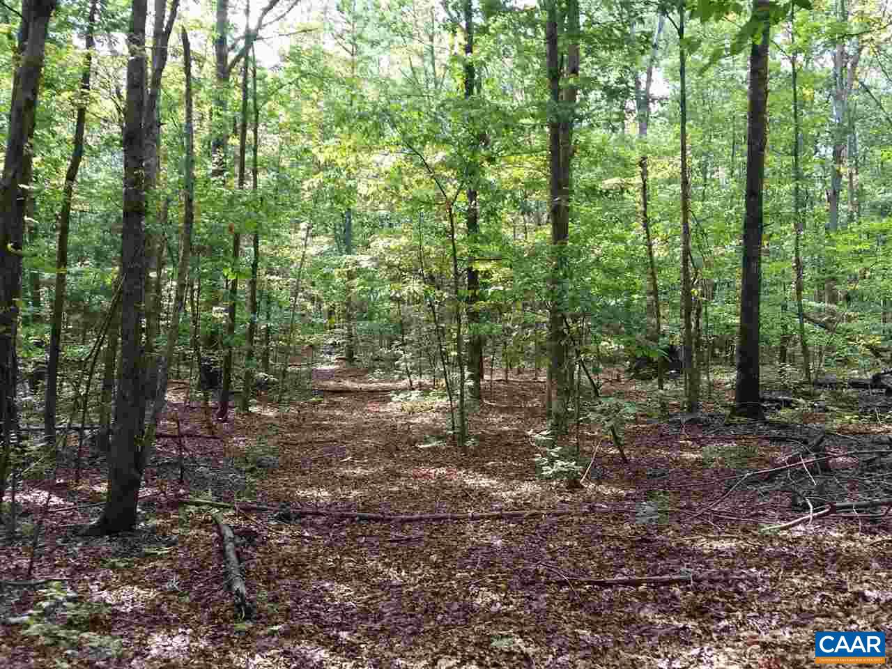 1107 Axtell Road Scottsville, VA 24562 - Photo 3 of 7 Gallery Image 3