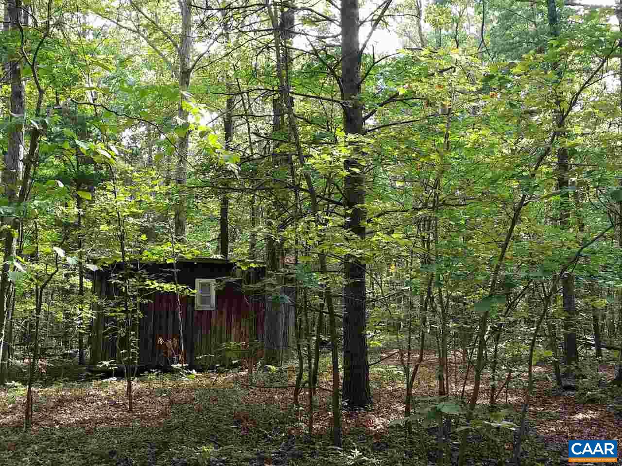 1107 Axtell Road Scottsville, VA 24562 - Photo 5 of 7 Gallery Image 5