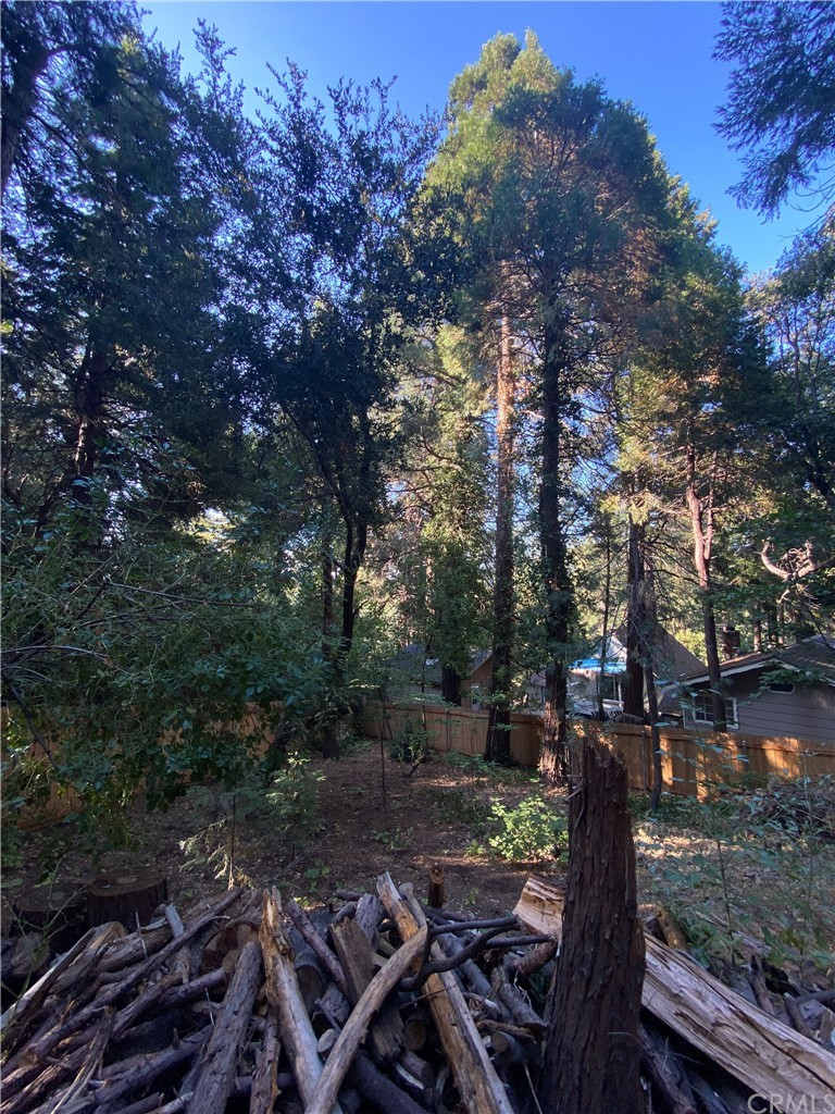 743 Woodland Road Crestline, CA 92325 - Photo 15 of 49