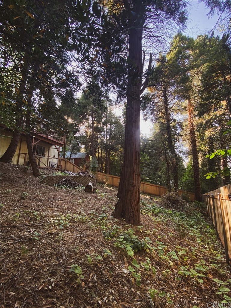 743 Woodland Road Crestline, CA 92325 - Photo 16 of 49