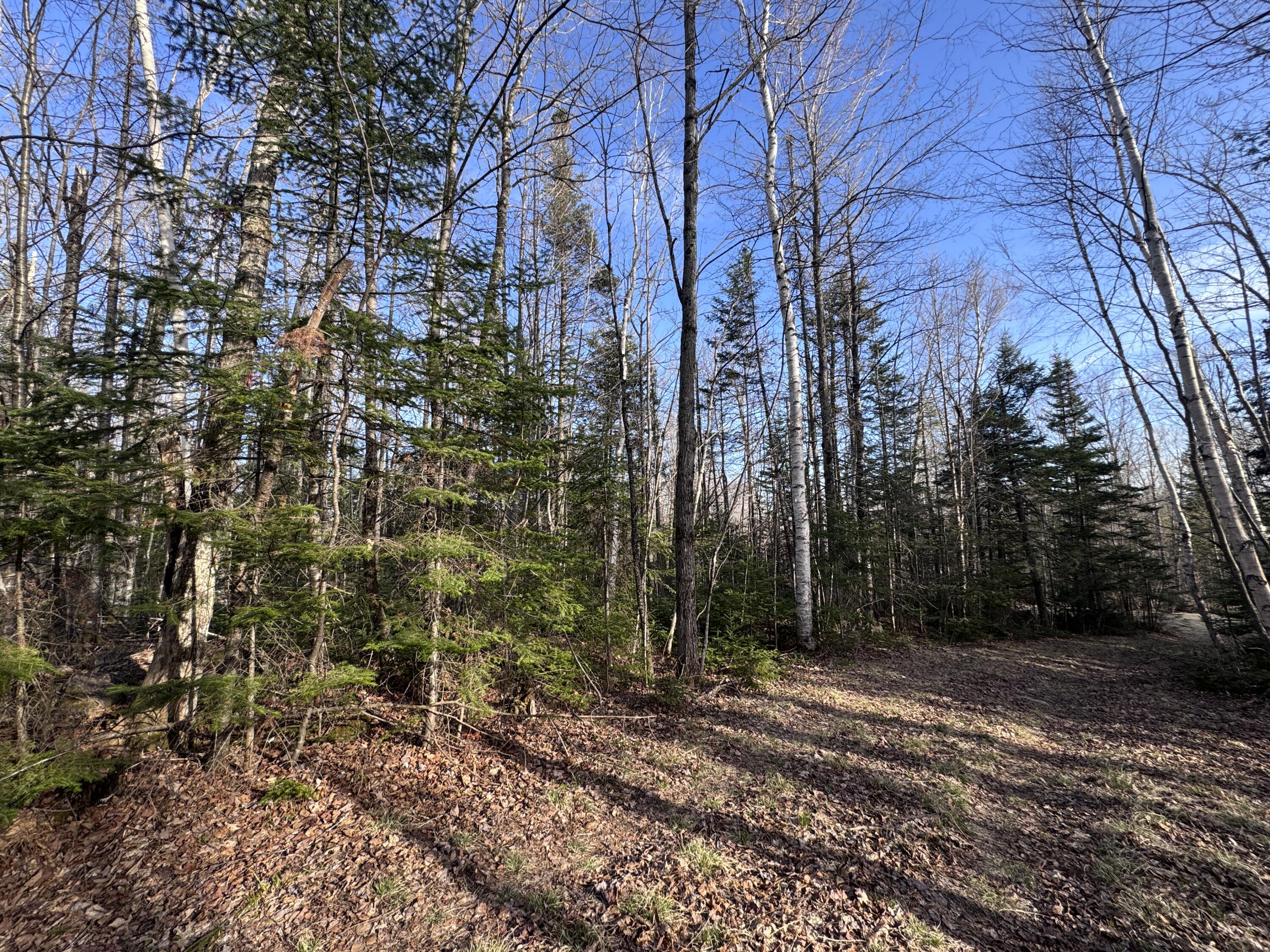488 Cook Hill Road Strong, ME 04983 - Photo 23 of 27