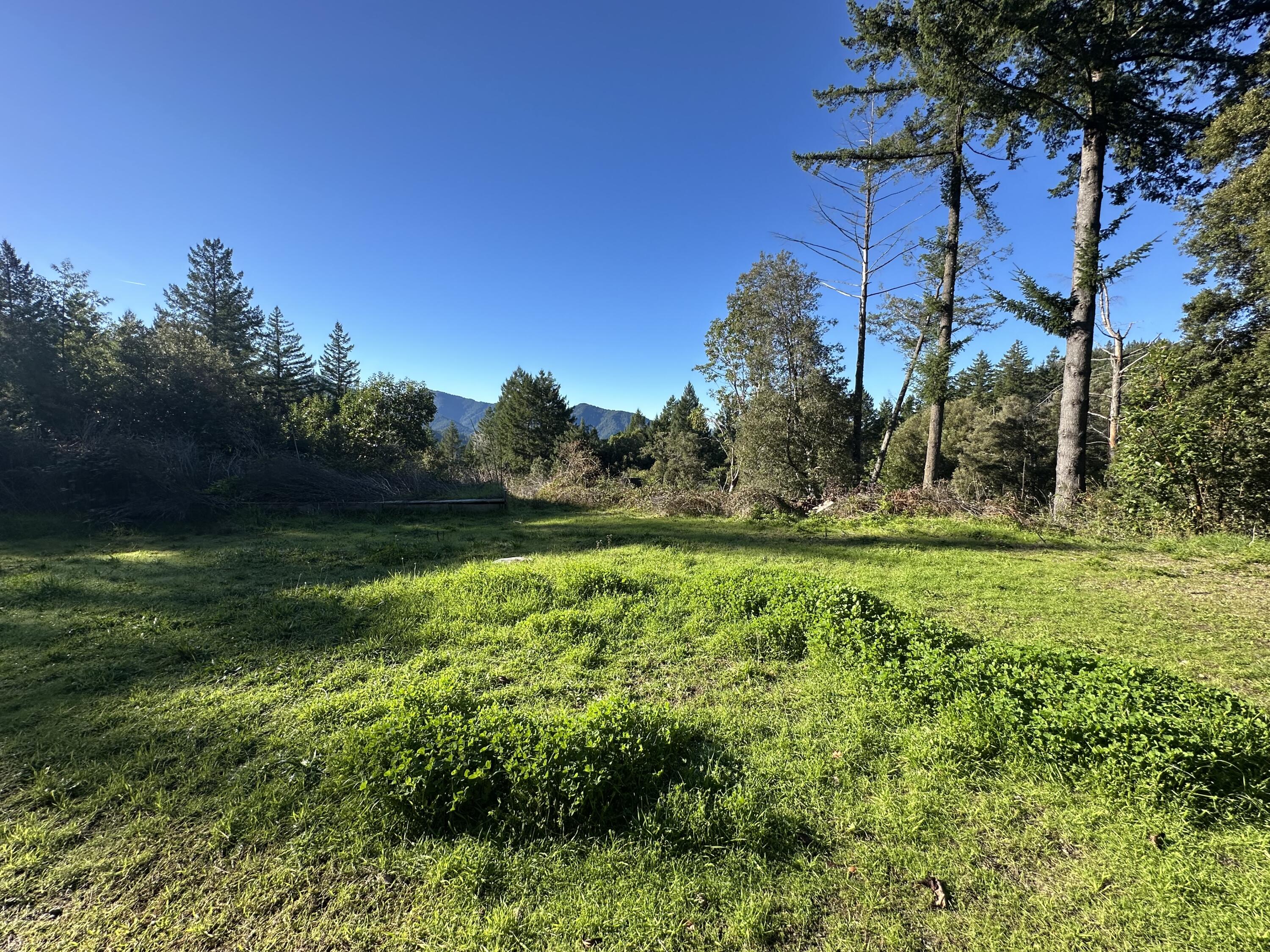 4756 Wilder Ridge Road Garberville, CA 95542 - Photo 31 of 43 IMG_8098