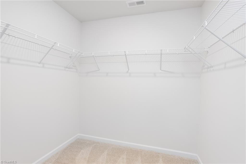 134 Chessie Road Mocksville, NC 27028 - Photo 19 of 27 Primary Walk-In Closet