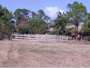4050 April Mims, FL 32754 - Photo 2 of 8 Additional Photo