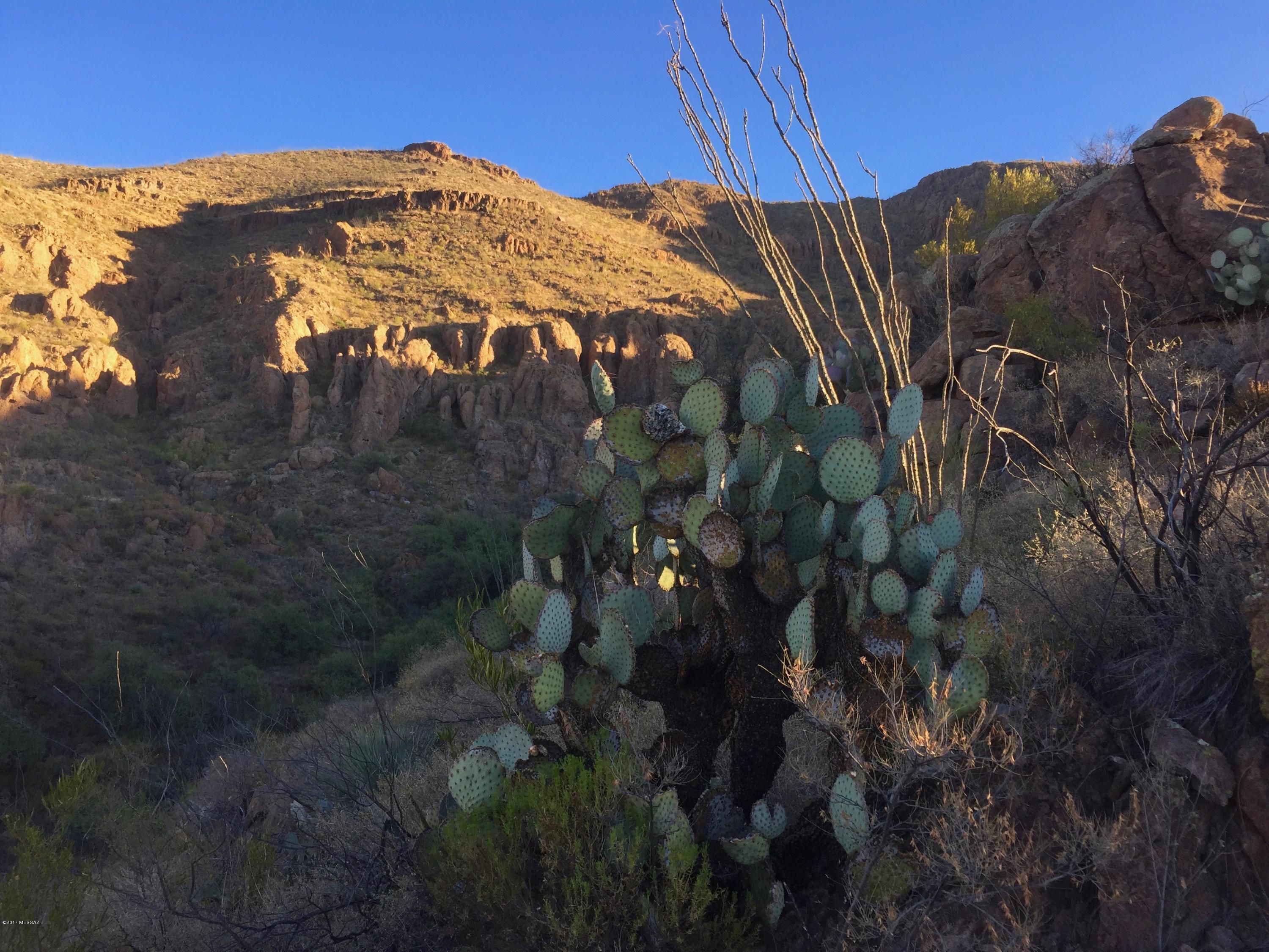 88 Salida Spring Way, Unit 122 Rio Rico, AZ 85648 - Photo 10 of 19
