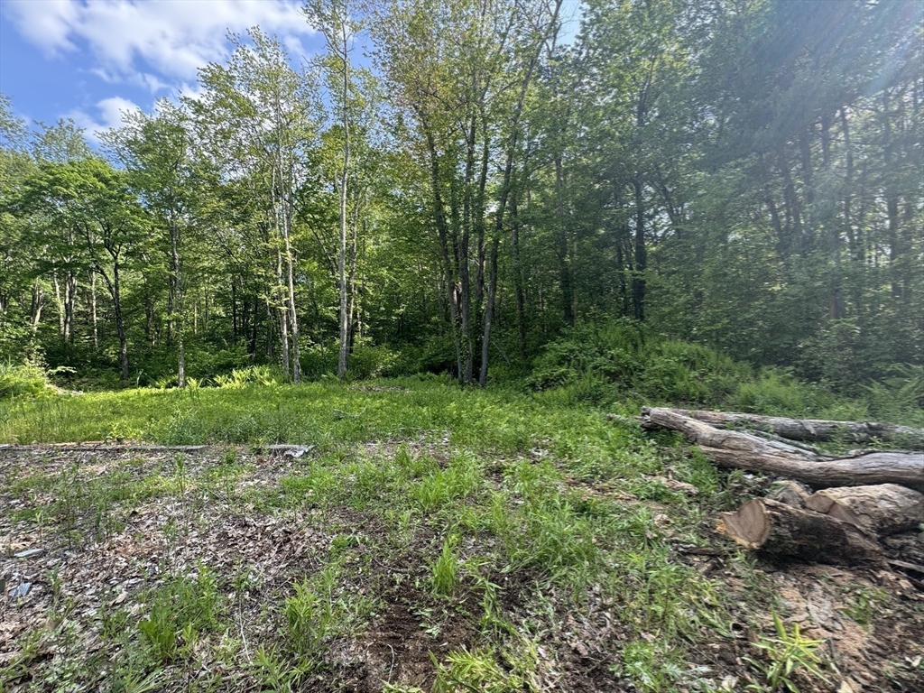 50 Fountain Road Wales, MA 01081 - Photo 18 of 20