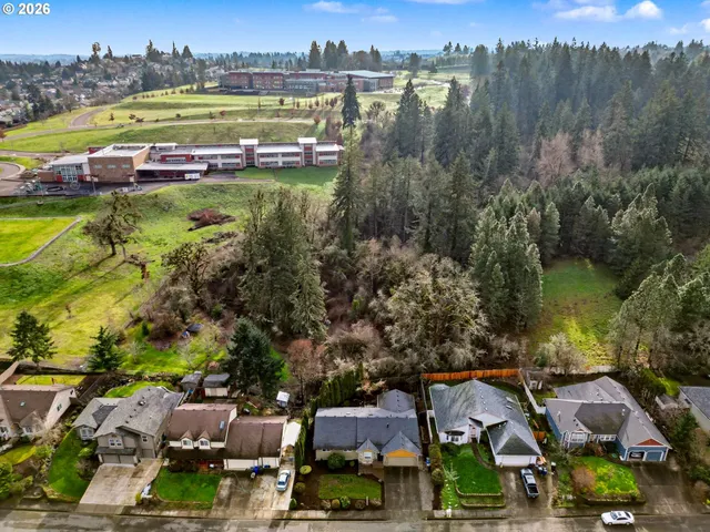 a view of a city with mountains in the background