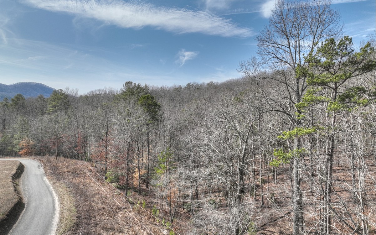 Mt Herman Road Mineral Bluff, GA 30559 - Photo 5 of 15 Additional View