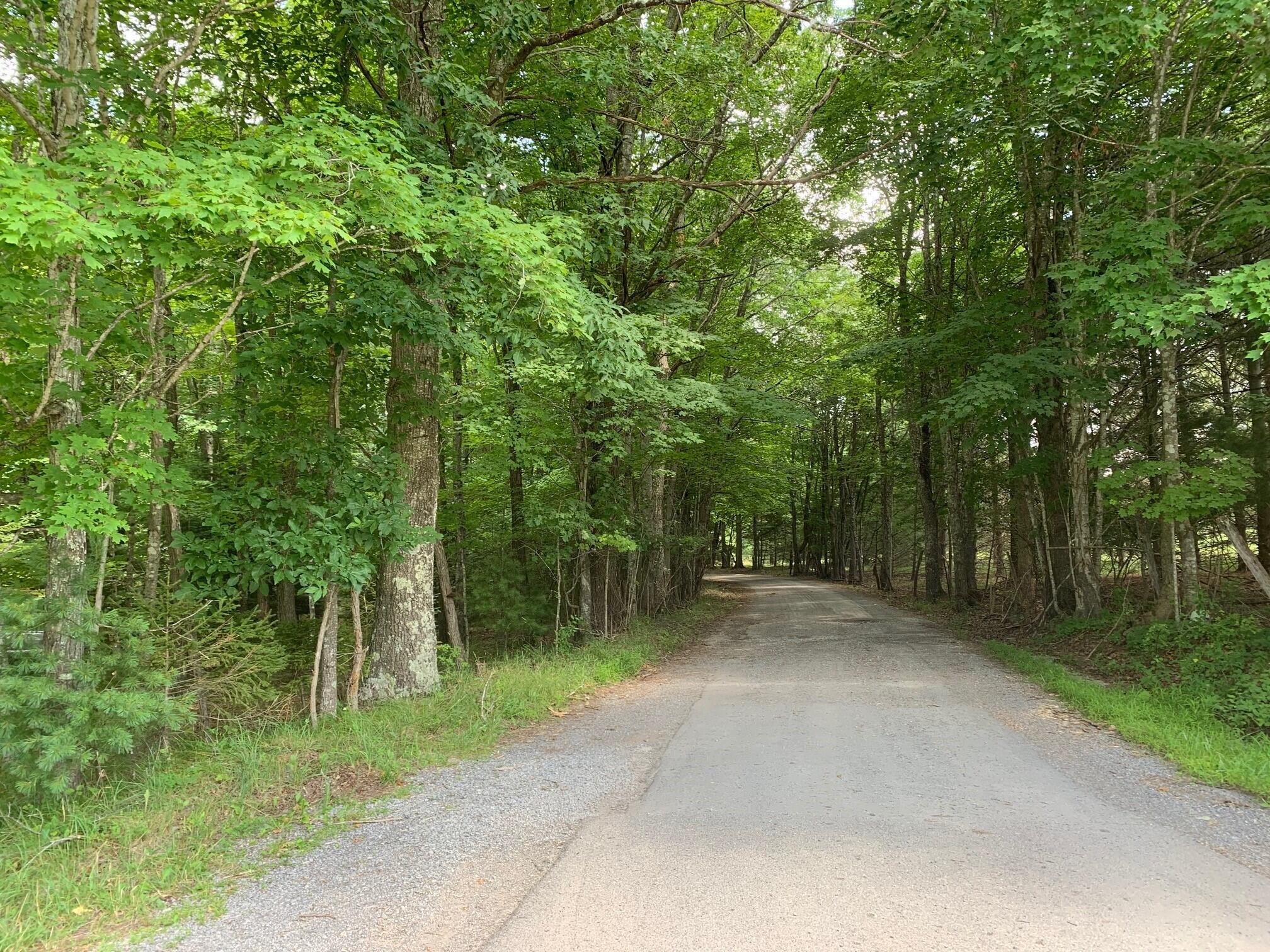 9260 Edray Road Cass, WV 24927 - Photo 14 of 14 Gallery Image 14