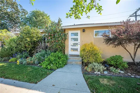 a view of a back yard with plants