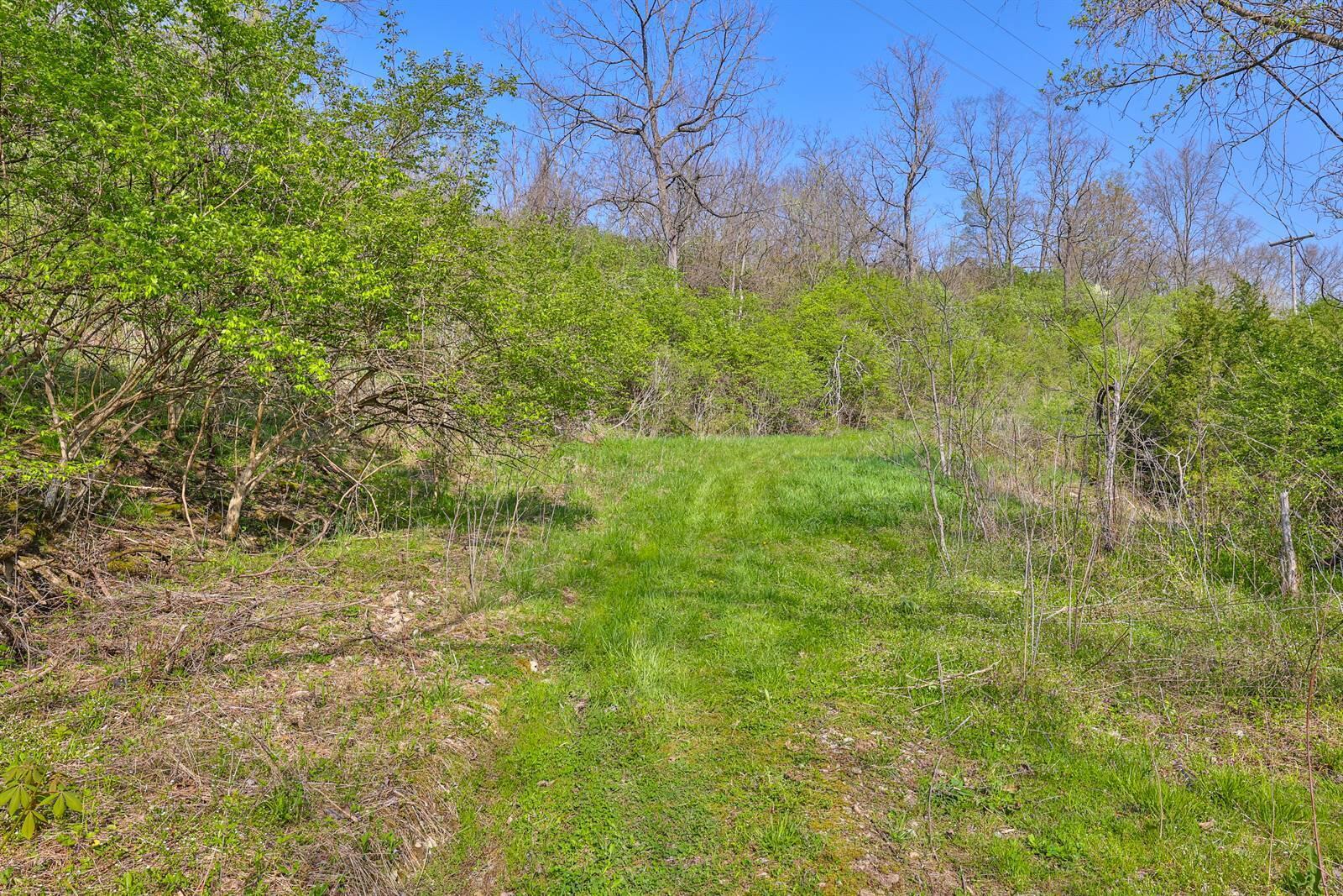 8726 Washington Trace Road California, KY 41007 - Photo 9 of 38