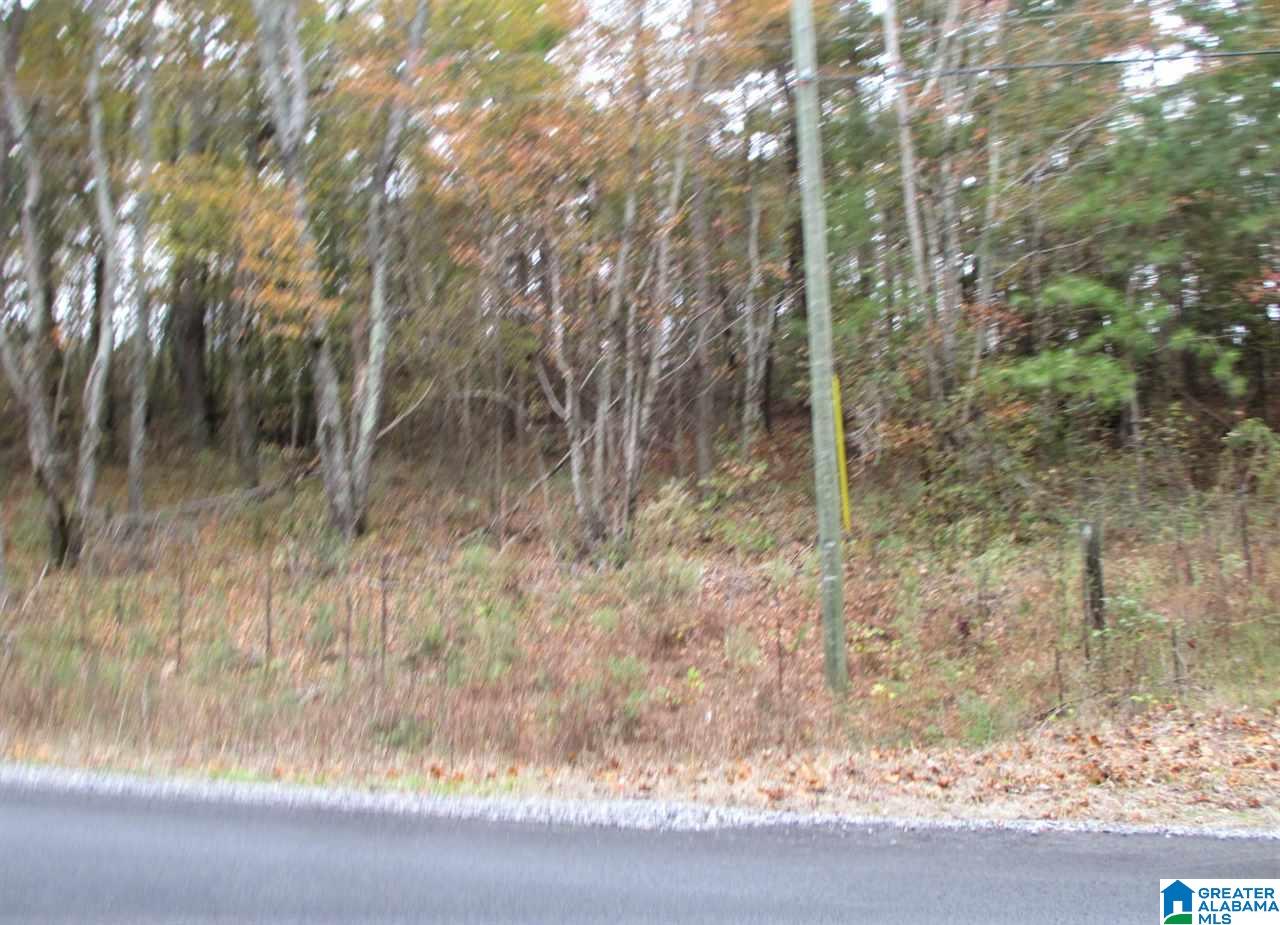 36 Highway Oneonta Al Oneonta, AL 35121 - Photo 4 of 4