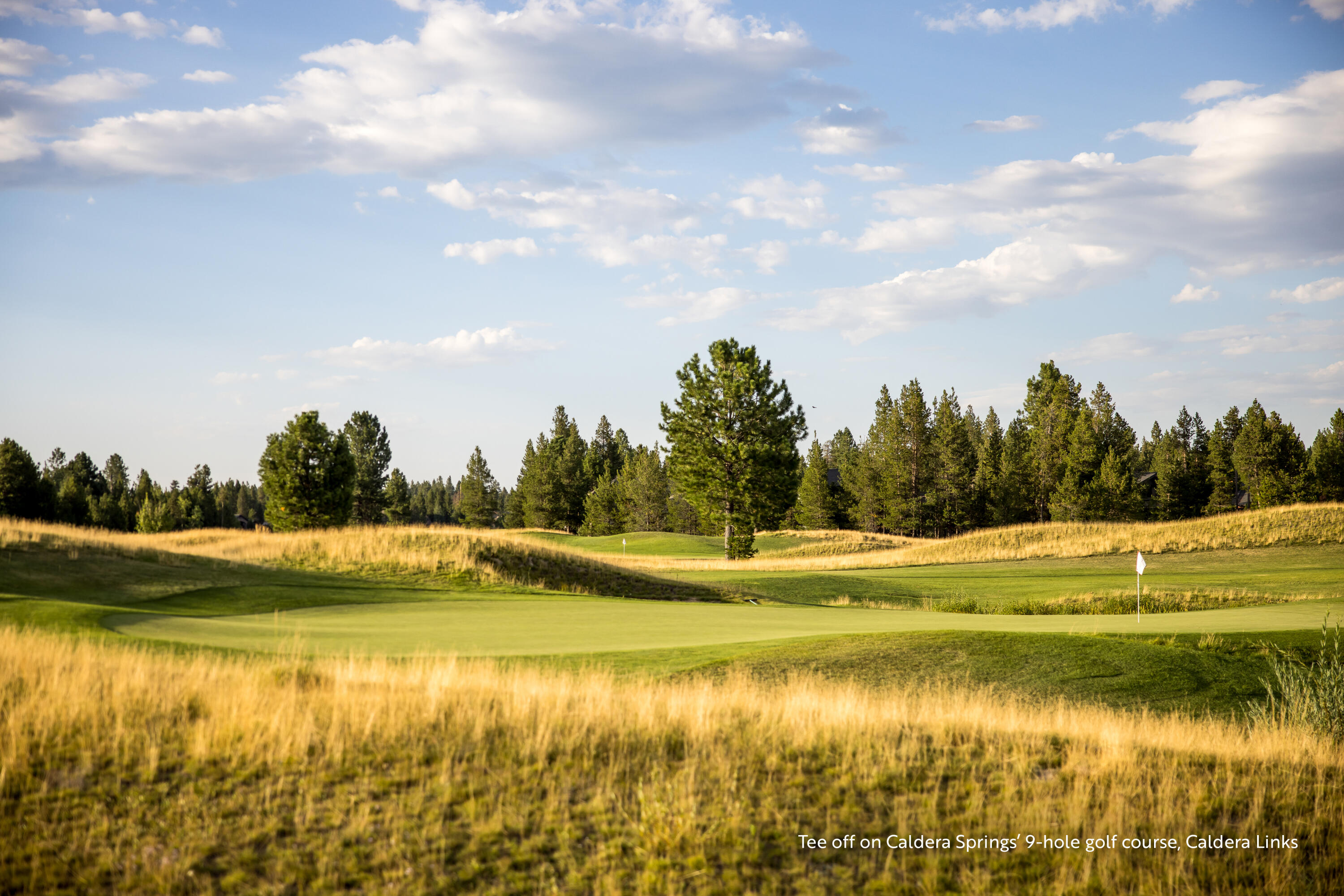 Lot 423 Preservation Loop Bend, OR 97707 - Photo 3 of 20 C88A1270_caption