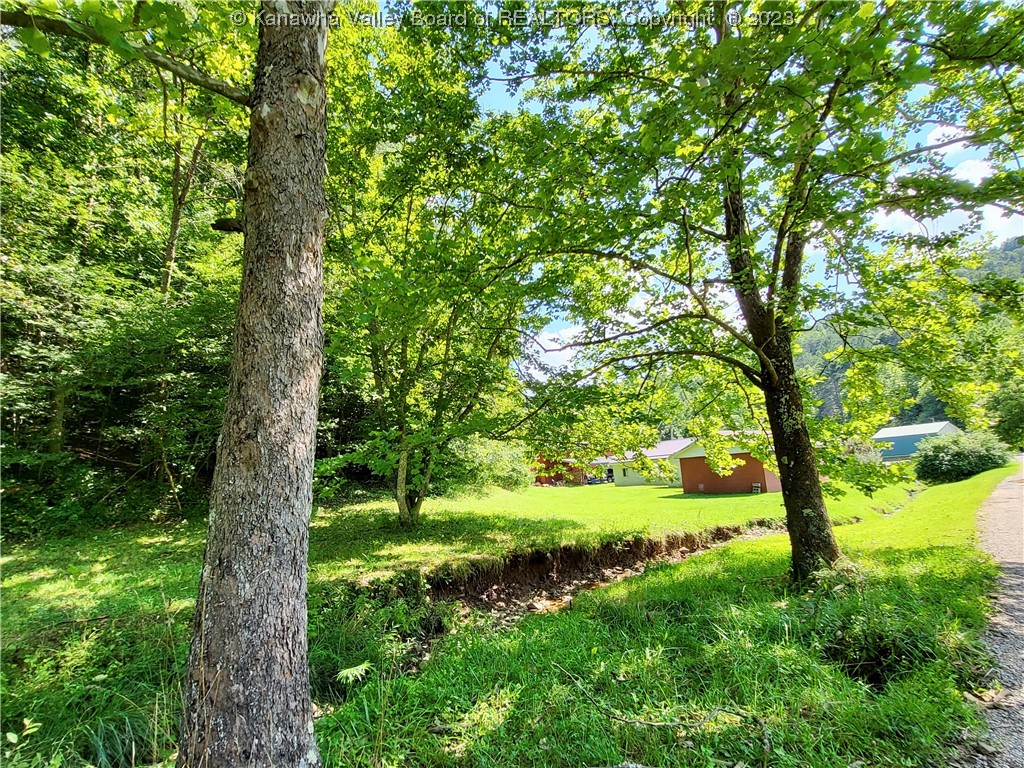 11117 Clay Road Newton, WV 25266 - Photo 6 of 29 Gallery Image 6