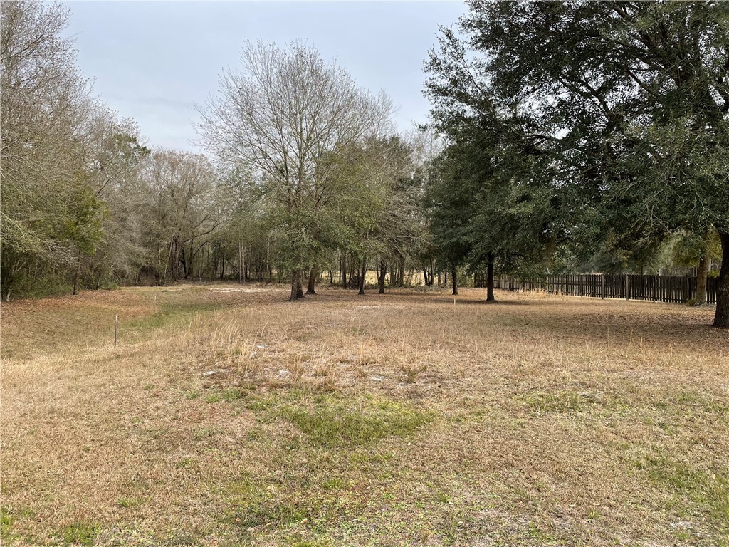 0 Southwest 80th Place Hampton, FL 32044 - Photo 1 of 12 Gallery Image 1