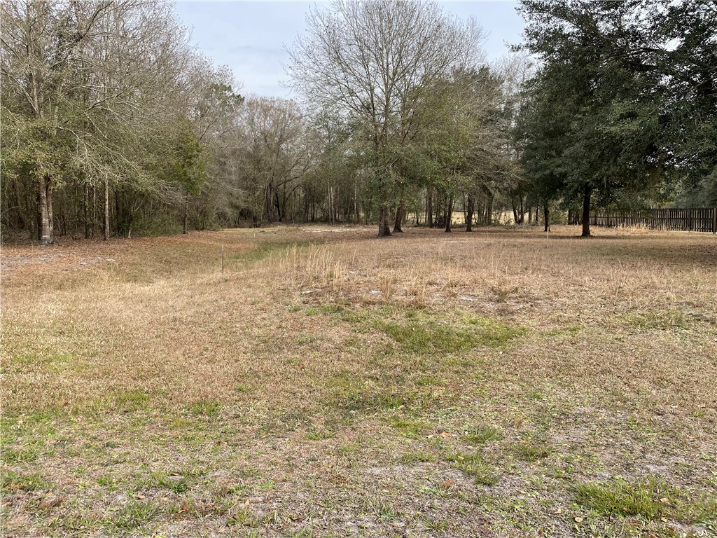 0 Southwest 80th Place Hampton, FL 32044 - Photo 2 of 12 Gallery Image 2