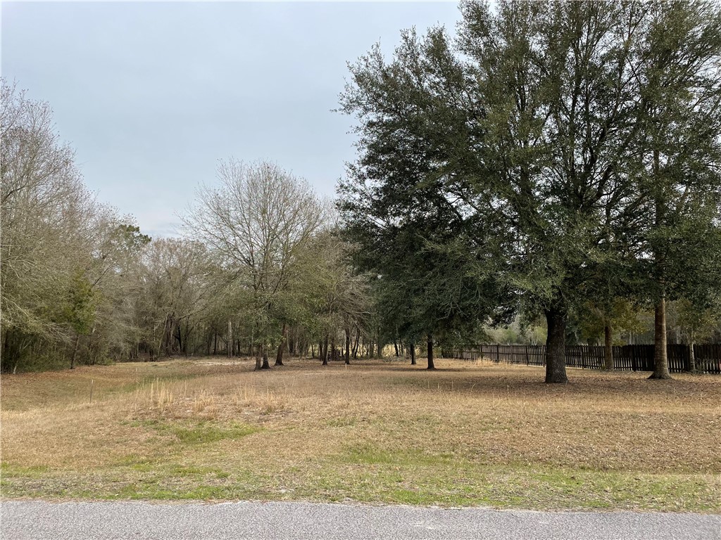 0 Southwest 80th Place Hampton, FL 32044 - Photo 3 of 12 Gallery Image 3